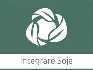 Integrare Soja