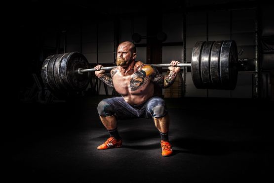 Synthol: Efectos de la Aplicación